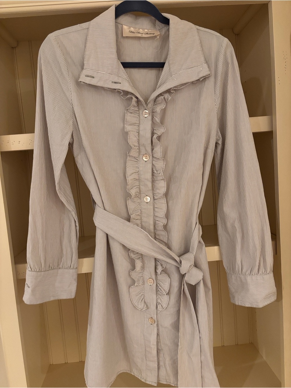 Anthropologie Blue Bird Shirting Ruffle Shirt Dress/Tunic